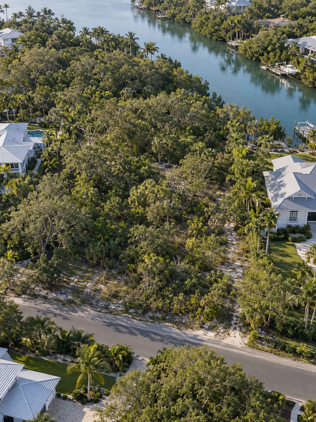 AI-generated wooded lot in a Florida neighborhood